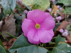 49C4A8FA-460E-4122-AC88-43A45D57D960