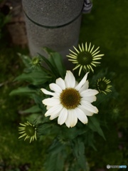 6273E4CE-8FD4-4AC7-81DD-5346D9882B82