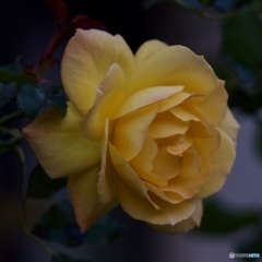4131D953-A36D-4973-ACBE-6EE2D895821B