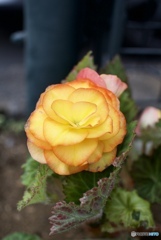 D408C567-9C1F-45DC-A589-A9D997EEB150