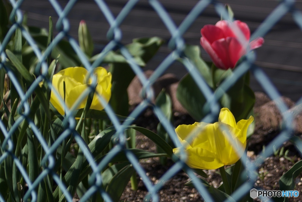 E6AC8572-9568-4F36-B024-D6204C019B72