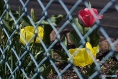 E6AC8572-9568-4F36-B024-D6204C019B72