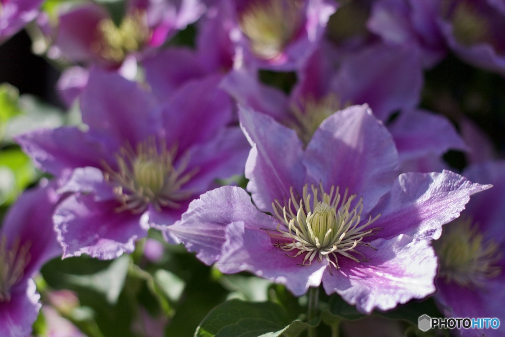 B1F84986-854E-4F46-8C3B-F8DAC640256A