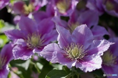 B1F84986-854E-4F46-8C3B-F8DAC640256A