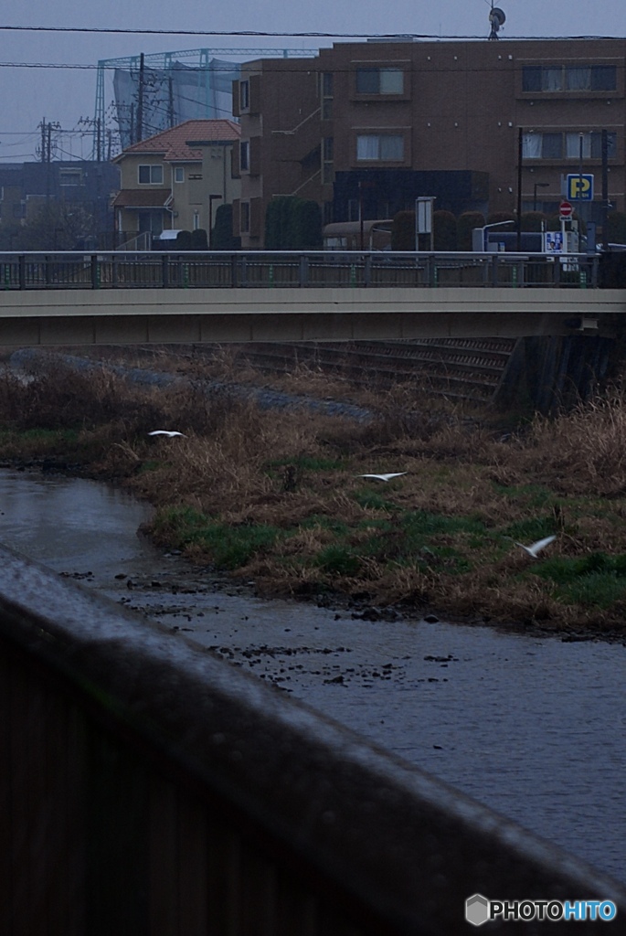 803A502F-8F3F-423F-8D94-5B9869E4F137