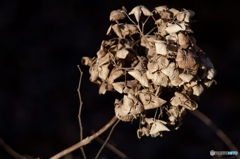 D70B0AC3-EF10-4AA0-A8D9-D655DB0B2622