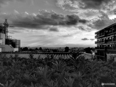 77227FAA-FDD5-4810-9863-8B8ACA187024
