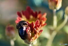 48AA5C9B-0091-44C7-8526-72E5BF5DBD11