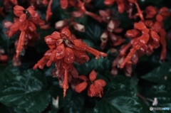 2E61D67D-EC4C-40A8-834D-A59FC132F4F7