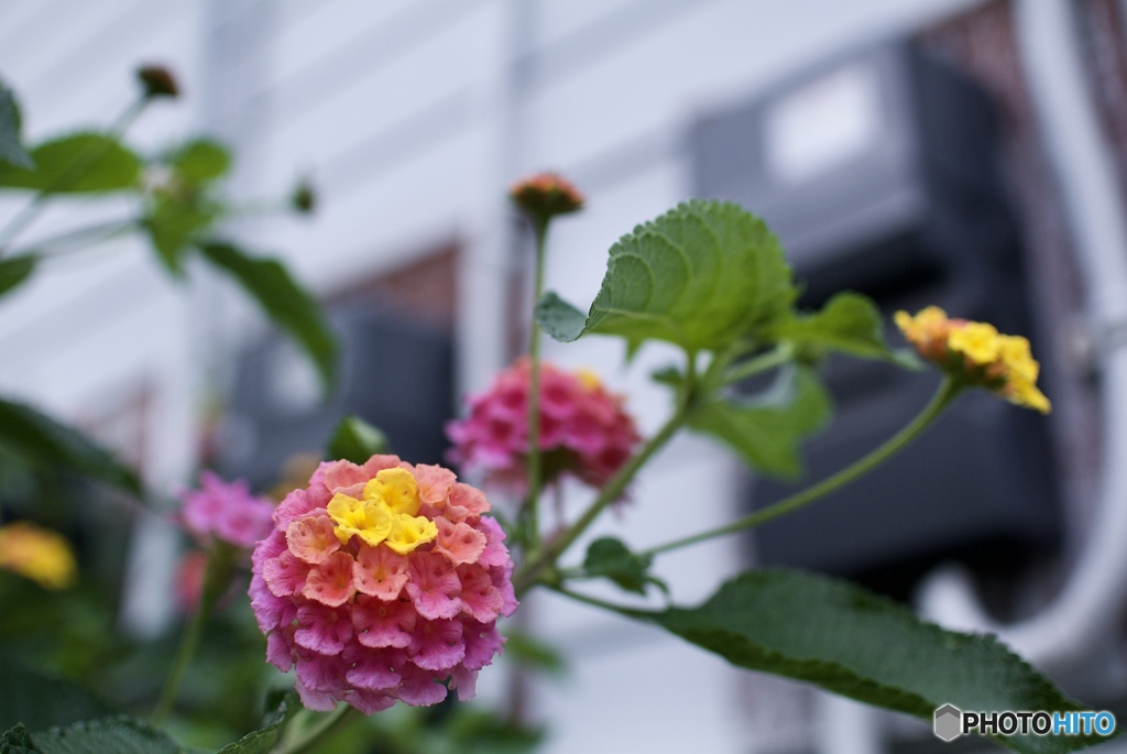 010D940E-7AEE-4B0D-86C8-C9E49106775E