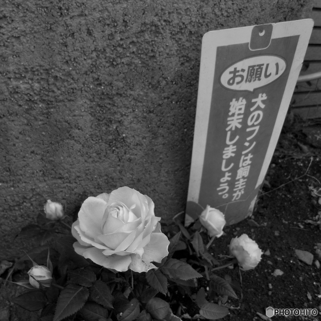 1CB3D838-6579-44F8-98E7-63E2513CD659