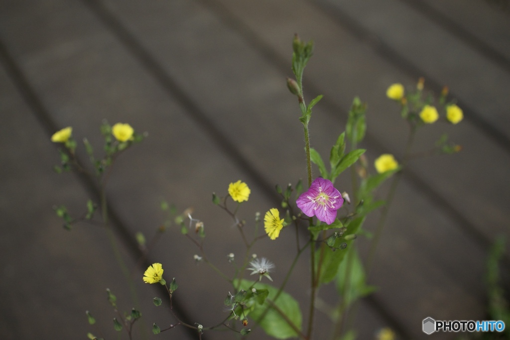 989178CA-3BAF-4DEB-989A-ED83702CDD5E