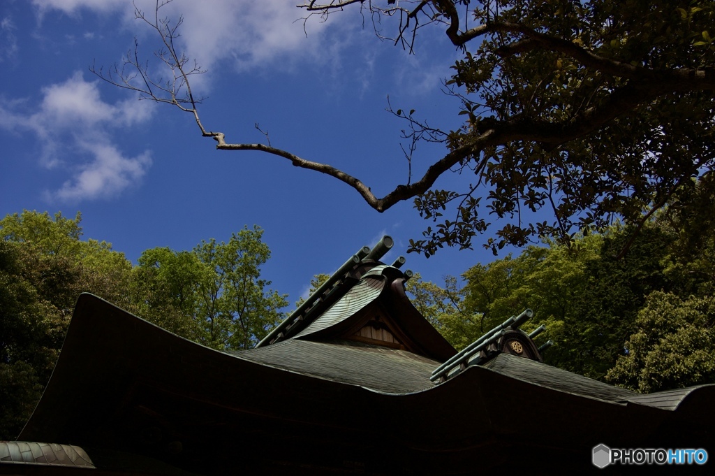 4CED56FF-9960-435D-AD31-0EC394F770E8