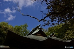 4CED56FF-9960-435D-AD31-0EC394F770E8