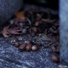 F855663A-CA63-4425-B278-D19775CF577C