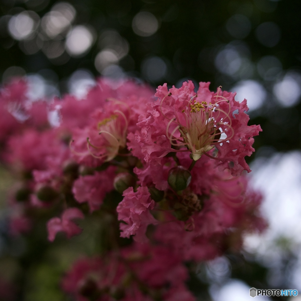 F3CC29F6-A487-484C-9ECC-DD642FAA879C