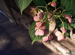 52BE45D5-15FE-4129-B92A-5161D169EF5A