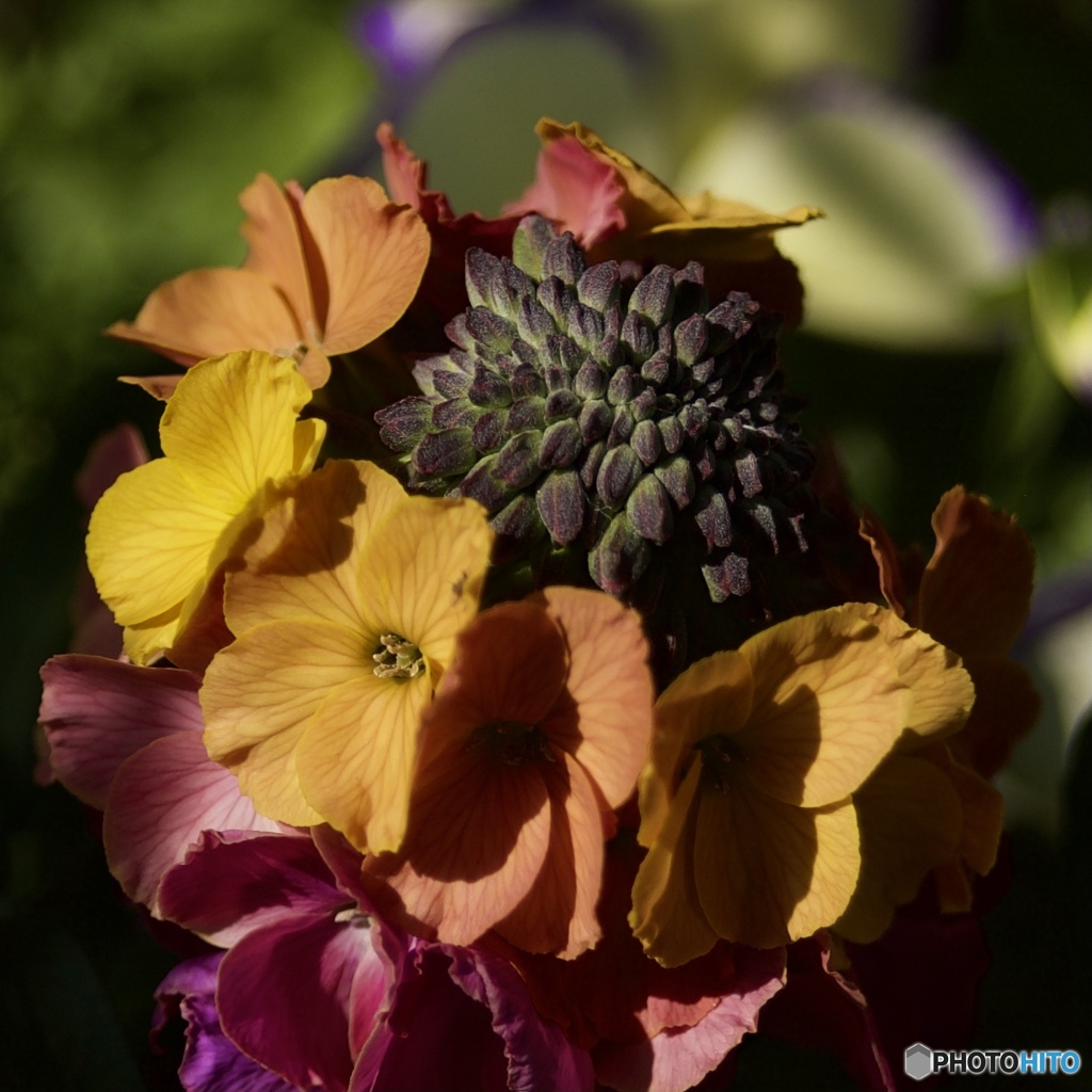 95533A84-0481-49E9-846C-957F07CCF91D