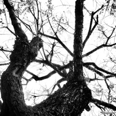 3D2B49F2-1B77-4248-850C-5A9D6D77E67A