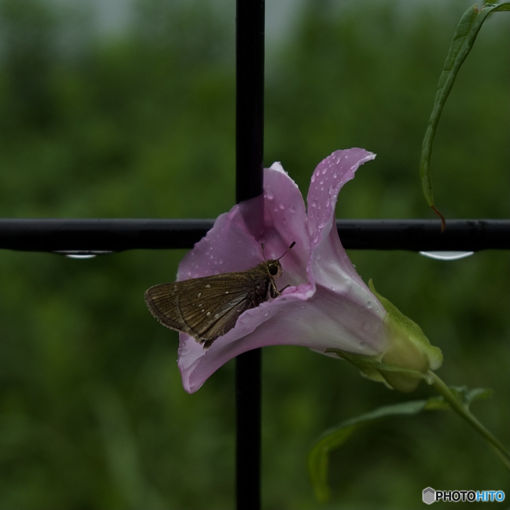 5CE5D981-3DCA-4BE4-9C1E-74AE4850F3CF