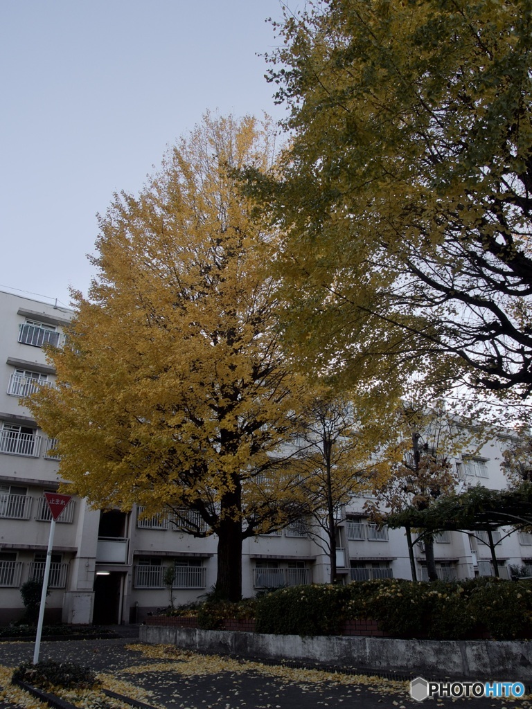 EC0B609D-22E8-42F4-809C-0CCFB24DBEEC