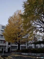 EC0B609D-22E8-42F4-809C-0CCFB24DBEEC