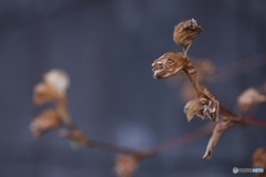 C148A487-8DDA-4BE4-865A-AC85FCCD6D5A