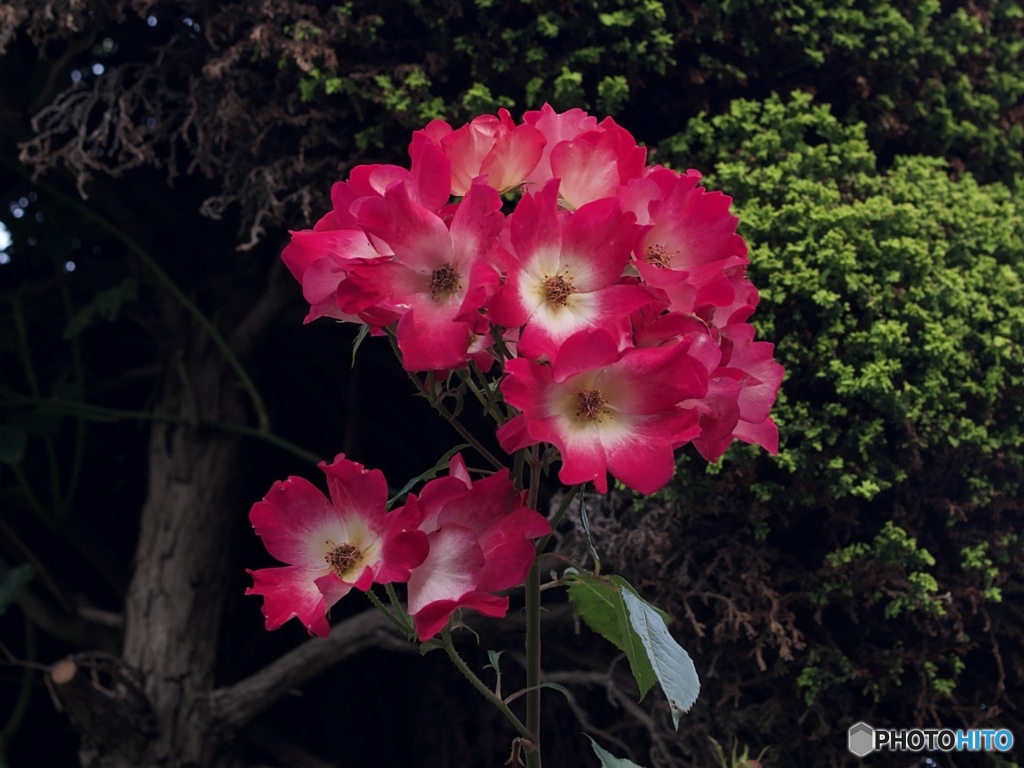 7A4B855D-6994-4FA8-A4CE-DBA976B03D5B