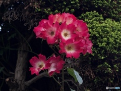 7A4B855D-6994-4FA8-A4CE-DBA976B03D5B