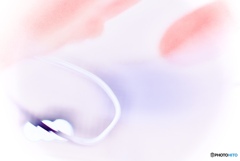 E50A036C-AE85-4507-B6E4-FD00FB956DEE