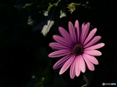 276BB51E-30AF-4B73-8C94-0F32B5841F39