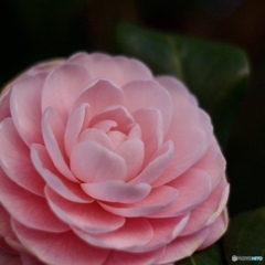 418C0B24-C87F-44CE-8ED3-85403817D704