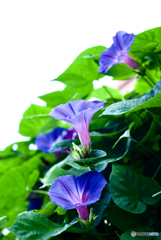 274746F4-DA49-4C13-9A92-5293070B0A5E