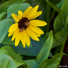 5B2FF090-67E6-4B37-AAFE-E55C3811117F