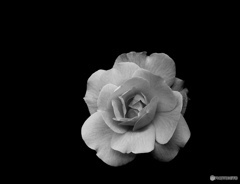 0D141709-C17E-47AA-8BA3-346ABA42C2F8