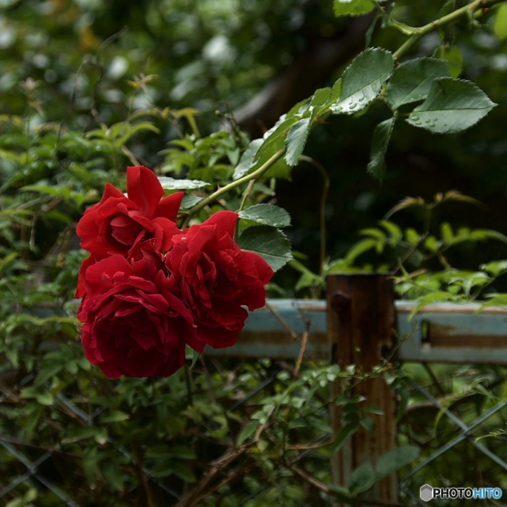 5B13D1C7-6A25-482E-89C7-0F11D64EF8C0