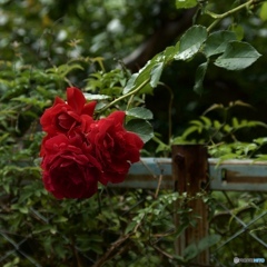 5B13D1C7-6A25-482E-89C7-0F11D64EF8C0