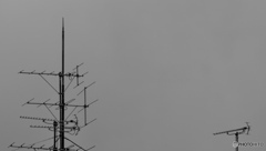 FFD05A5E-4F44-48F6-846D-66BA1D0B0743