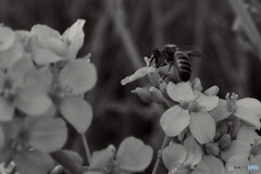 FF12810B-09DC-4526-A898-79AAD1921E0F