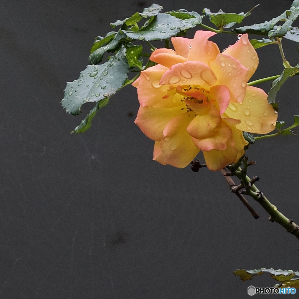 918D6FAD-1EB3-4D86-8C01-134D2CFEF329