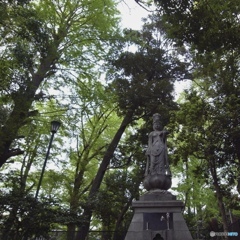 A188E082-7732-407D-96AD-0B82B8746EDF