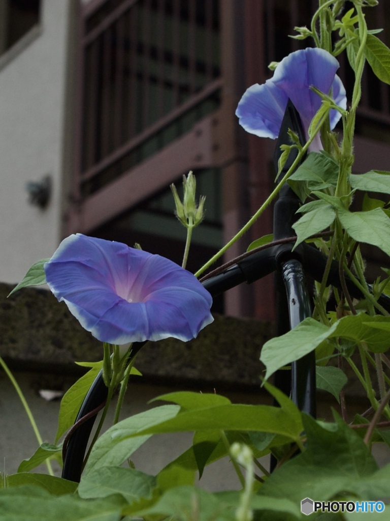 7F598974-6F59-4487-8B0A-4B8851A66F45