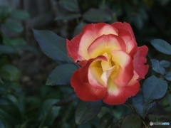 4C3C9DEF-95F6-4BF1-AD34-F7F0F5814E5A
