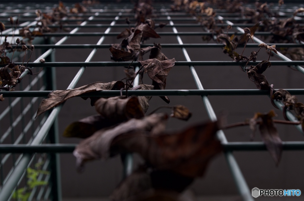 3ED1B270-7FEA-41EA-B5CF-3086AFA0FA57