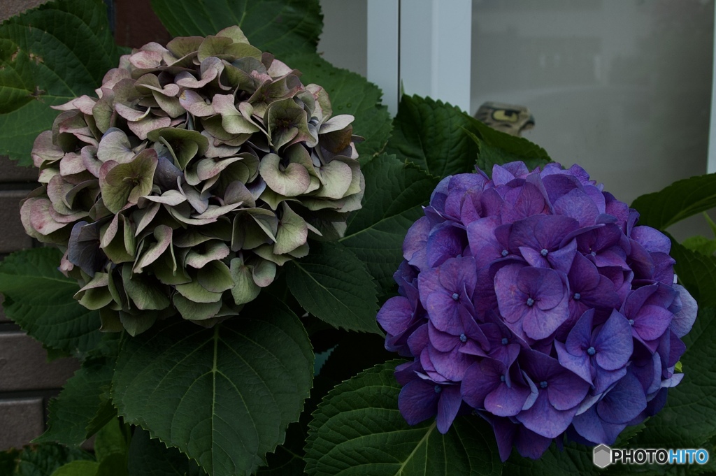 1E5F3444-C76C-4A4E-92F3-295D24E4DD42