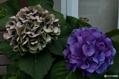 1E5F3444-C76C-4A4E-92F3-295D24E4DD42