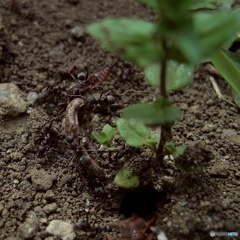 D0A07934-5809-4D63-9276-4C1685488133