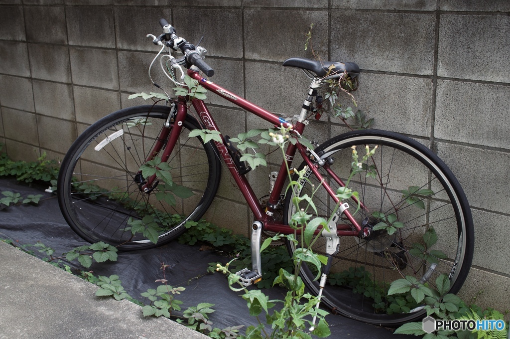 49E57657-82A7-4173-9D99-9747B11A5FDC