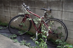 49E57657-82A7-4173-9D99-9747B11A5FDC