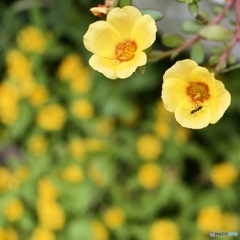 6668D84A-8A4C-443C-9099-679754D1310D